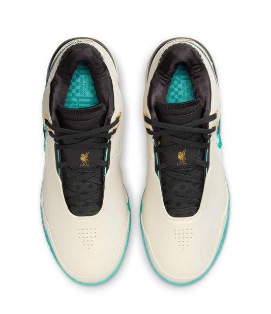 LeBron NXXT Gen AMPD